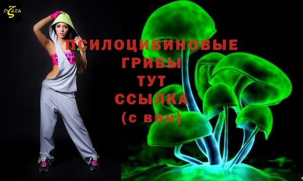 ГАЛЛЮЦИНОГЕННЫЕ ГРИБЫ Горно-Алтайск