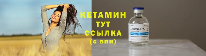 ГАЛЛЮЦИНОГЕННЫЕ ГРИБЫ Горно-Алтайск