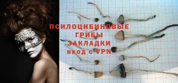 ГАЛЛЮЦИНОГЕННЫЕ ГРИБЫ Горно-Алтайск
