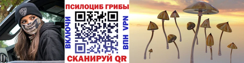 Купить  Ардон  Галлюциногенные грибы мухоморы 
